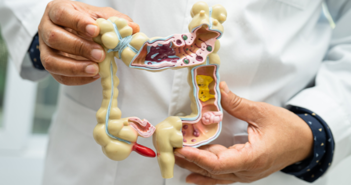 gut health affects immunity